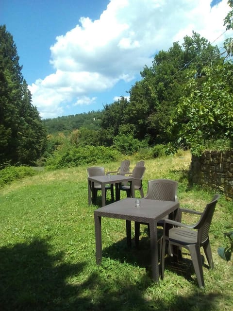 Garden, Breakfast