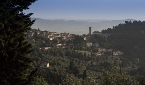 Nearby landmark, Natural landscape, Landmark view