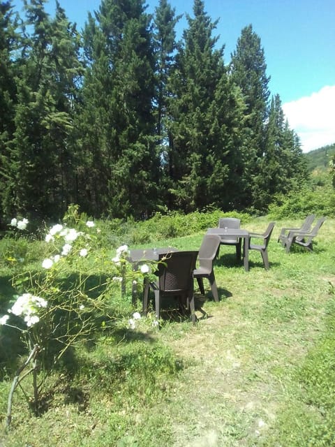 Garden, Breakfast