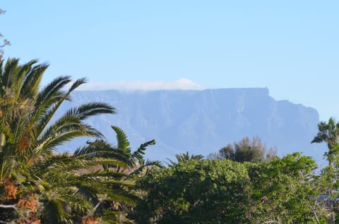 Whale Tale Vacation rental in Cape Town