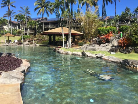 Activities, Area and facilities, Swimming pool, Sports