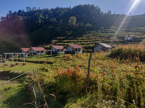 The Hillside Cottages Resort in Uttarakhand
