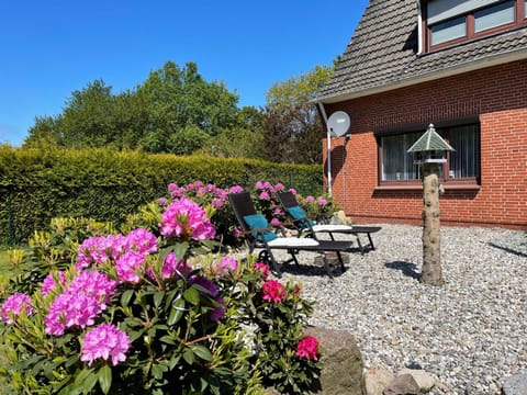 Property building, Patio, Spring, Day, Garden, Garden view, sunbed