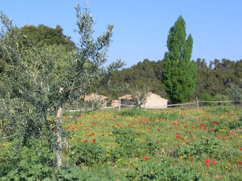 Natural landscape, View (from property/room)