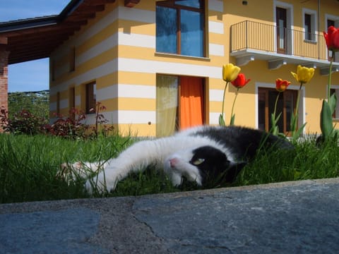 Facade/entrance, Garden, Pets