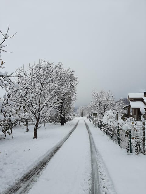 Day, Winter, On site