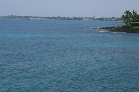 Sea Village 2nd floor Direct Oceanfront unit with extensive upgrades House in Holualoa