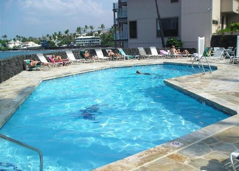 Sea Village 2nd floor Direct Oceanfront unit with extensive upgrades House in Holualoa