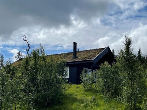 Linnaeus - 6 person cabin House in Viken, Norway