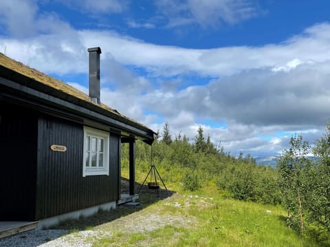 Linnaeus - 6 person cabin House in Viken, Norway