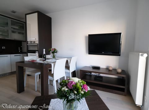 Delux apartma Jana Apartment in Ljubljana