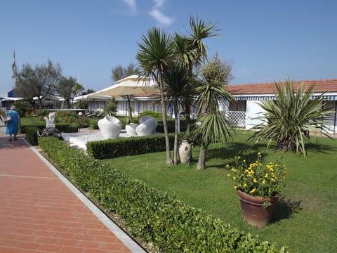 Patio, Day, Garden
