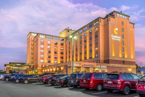 Comfort Inn & Suites Logan International Airport Hotel in Revere