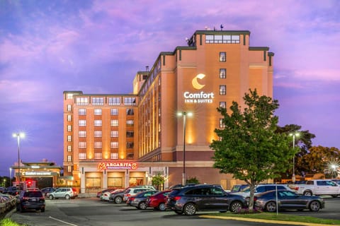 Comfort Inn & Suites Logan International Airport Hotel in Revere