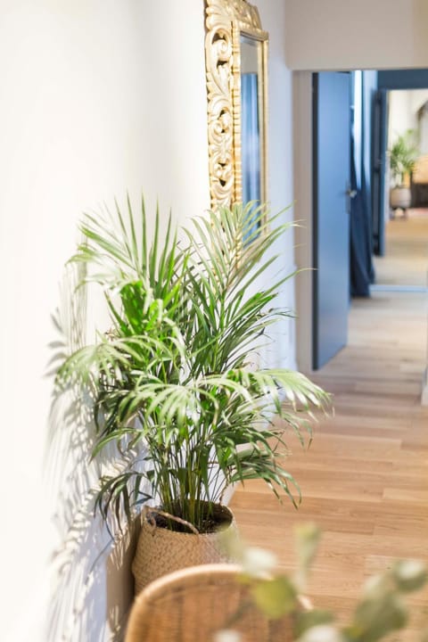 Property building, Decorative detail, Dining area