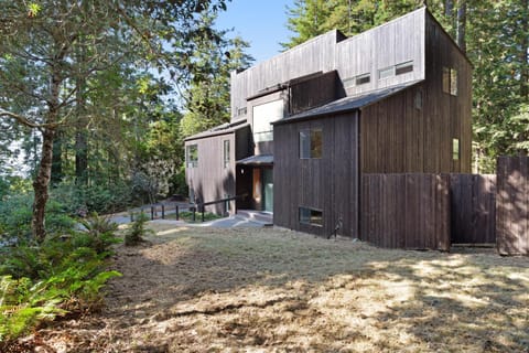 Tree House House in Sonoma County