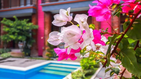 Mia Guest House Bed and Breakfast in Kuta