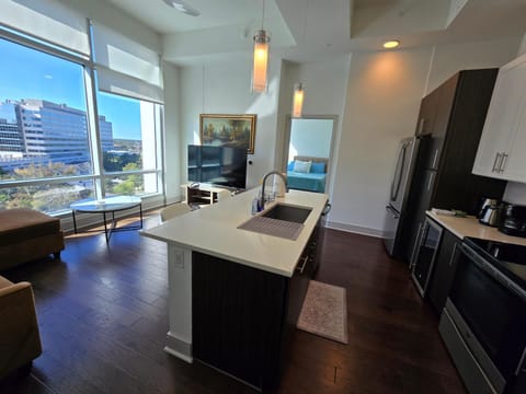 Latitude Med Center Apartment in Houston