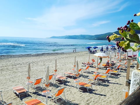 Nearby landmark, Spring, Day, Natural landscape, Beach, On site, Sea view