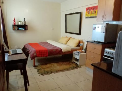 Budget Studio Apartment - Furnished, with Fast Wifi and Netflix Apartment in Nairobi