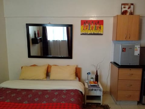 Budget Studio Apartment - Furnished, with Fast Wifi and Netflix Apartment in Nairobi