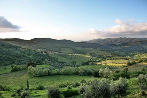 Residenza Antico Chianti Landhaus in Panzano In Chianti