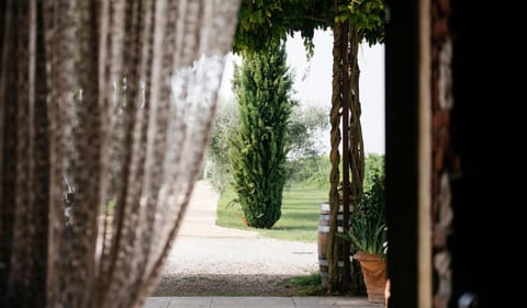 Natural landscape, Garden view