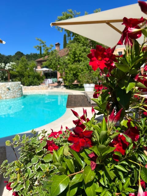 Pool view