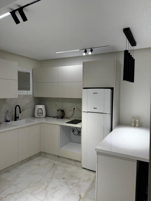 Coffee/tea facilities, Kitchen or kitchenette, minibar, oven, stove, toaster