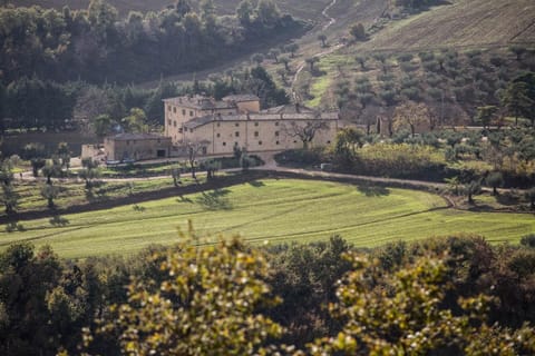 Property building, Mountain view