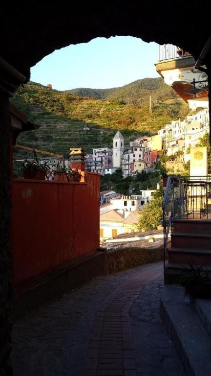 Neighbourhood, City view