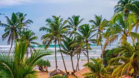 The Green Rooms Surf & Yoga Camp - ON THE BEACH - Prime location Weligama Bay Resort in Southern Province