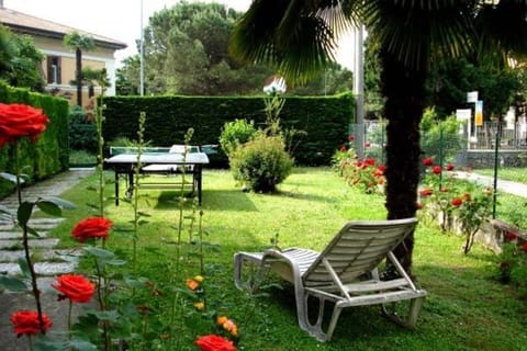 Garden, Table tennis