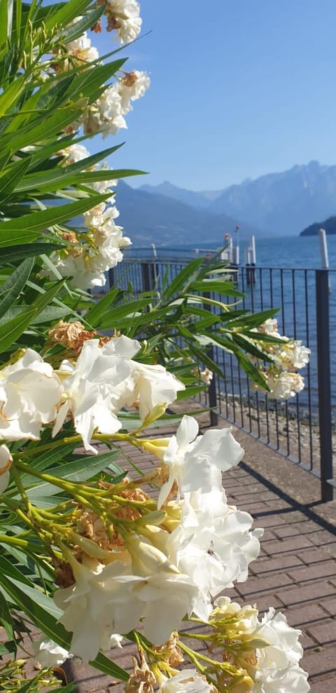 Spring, Day, Lake view