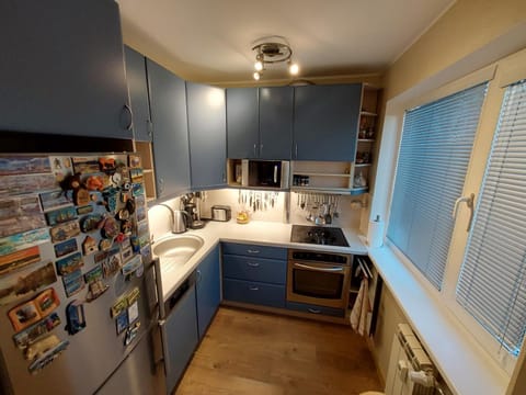 Kitchen or kitchenette, dishwasher, minibar, pet friendly, stove