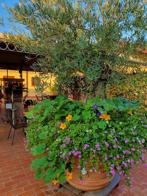 Garden, View (from property/room), Decorative detail