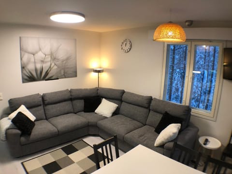FREE downhill skiing ticket 1pcs Cozy and very peaceful place in Levi Condo in Lapland