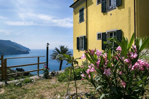 NEW Hanging Garden Apartment in Corniglia