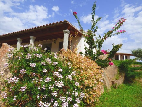 Property building, Day, Garden