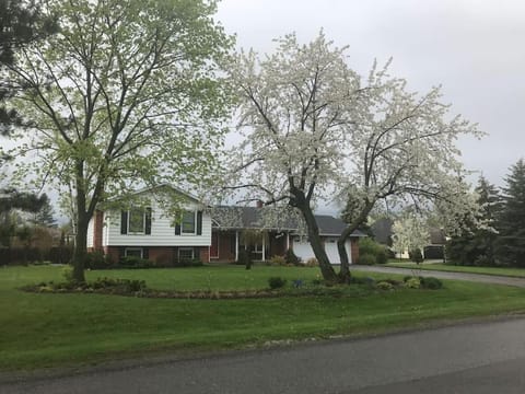 Property building, Spring, Neighbourhood, Natural landscape, Garden, Street view