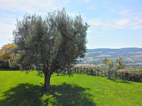 Garden view, Mountain view