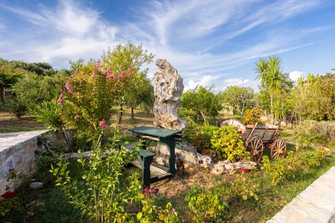 Natural landscape, Garden, Garden view