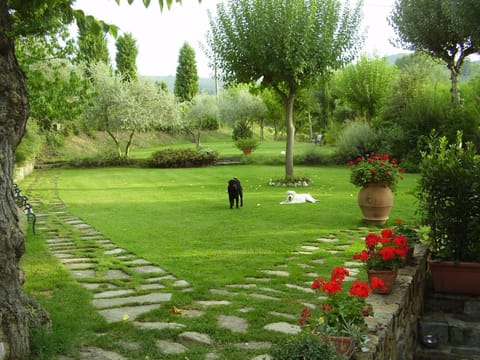 Garden, Garden