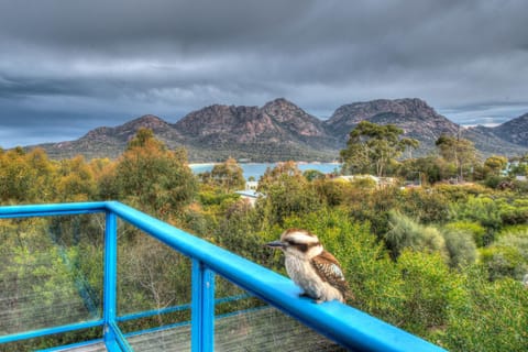 Blue Gum Retreat House in Tasmania