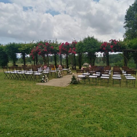 Garden, wedding