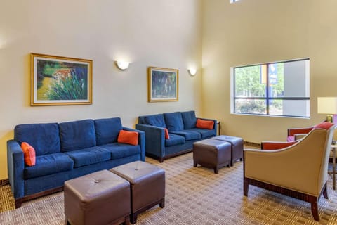 Comfort Suites - Near the Galleria Hotel in Houston