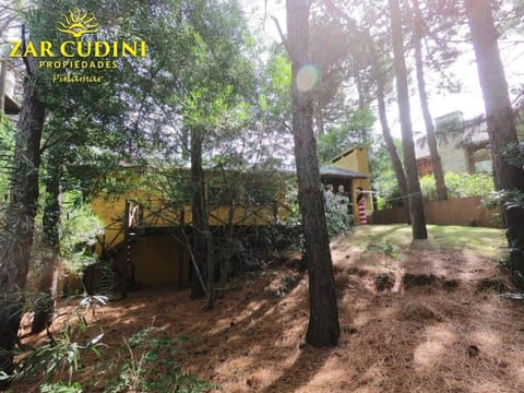 Casa completa en el bosque para 8 personas no aceptamos grupos de jovenes House in Pinamar