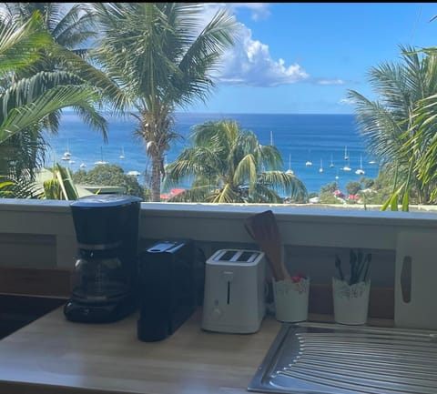 View (from property/room), stove, kitchen