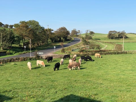 Natural landscape, View (from property/room)