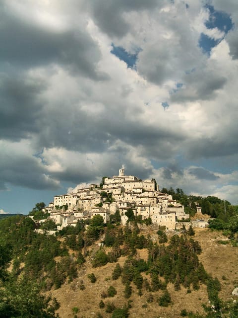 View (from property/room), Location